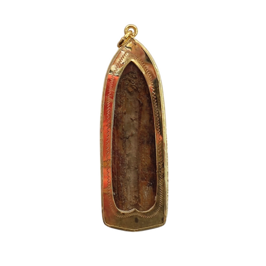 Phra Ruang Gun Rail Amulet Thai Talisman